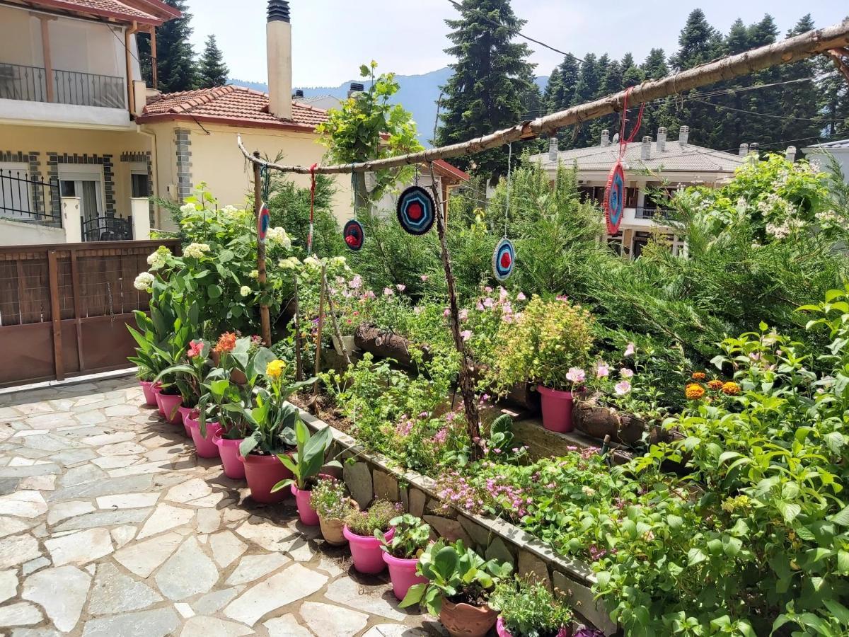 Guesthouse Theodorou Elati  Экстерьер фото