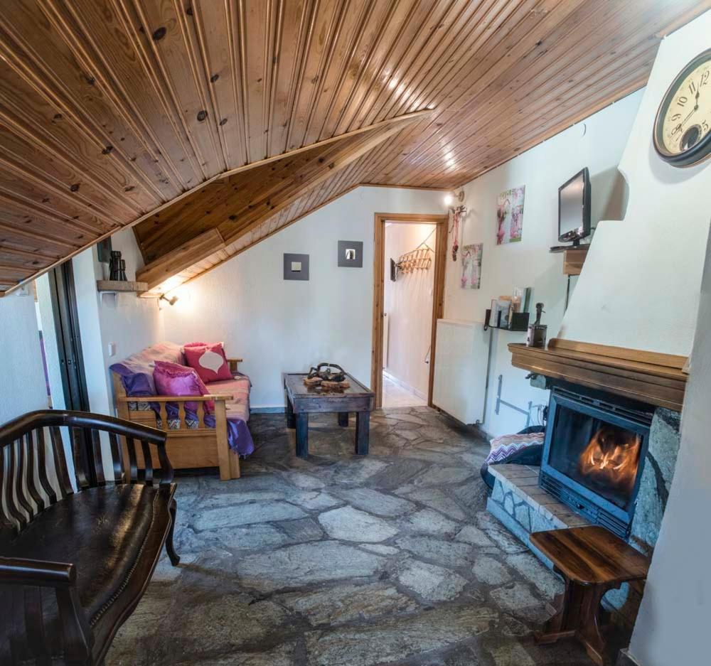Guesthouse Theodorou Elati  Экстерьер фото